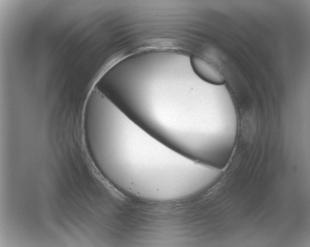 X0000067871378200604131003