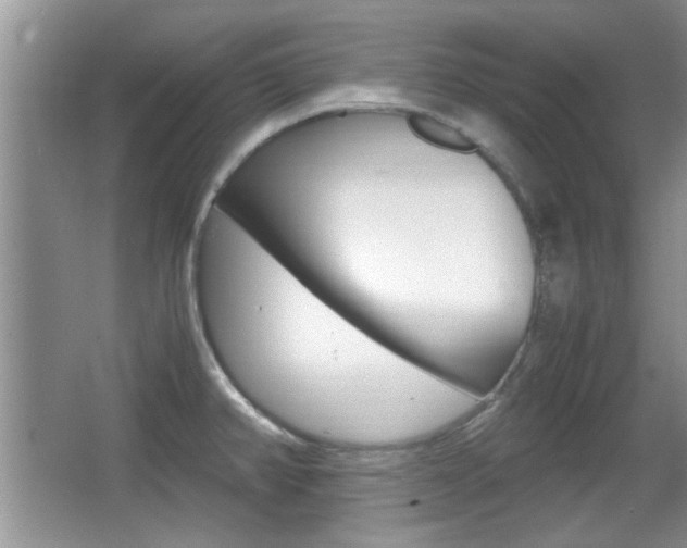 X0000067871382200604131003