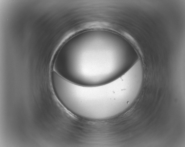 X0000067871384200604131003