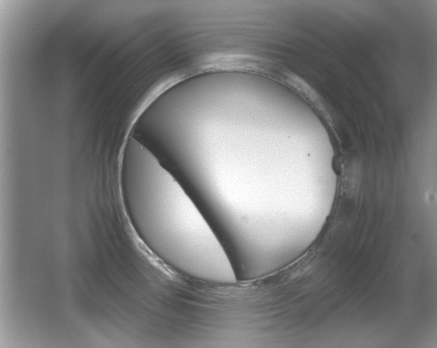 X0000067871386200604131003