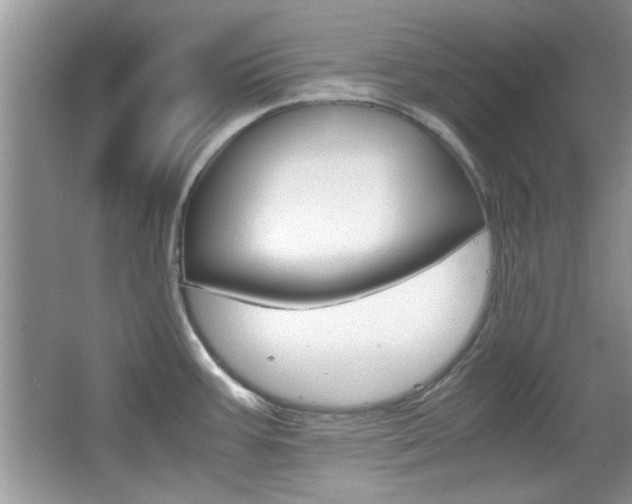 X0000067871387200604131003