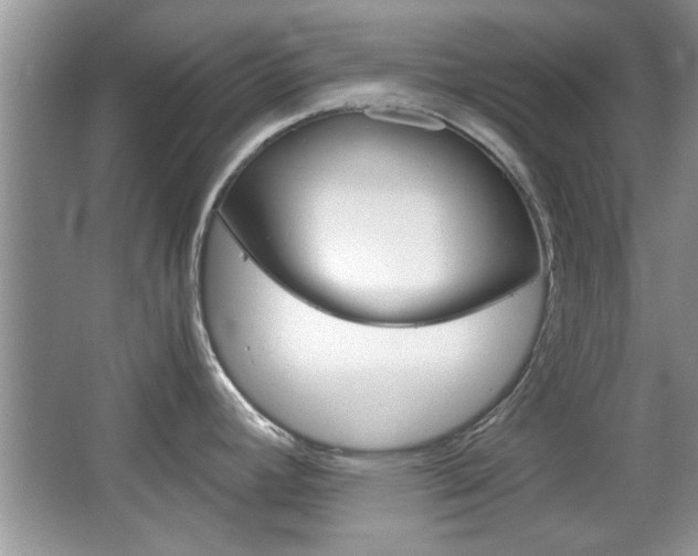 X0000067871392200604131003