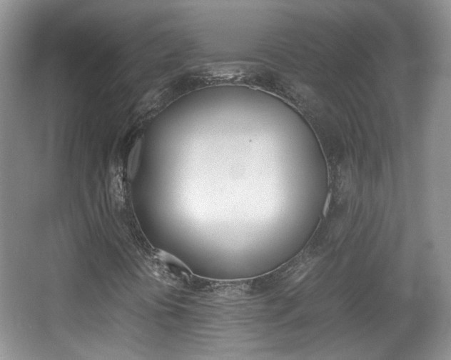 X0000067871394200604131002