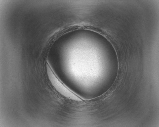 X0000067871398200604131002