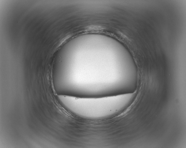 X0000067871401200604131002