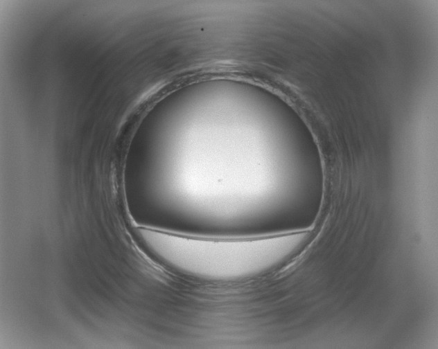 X0000067871402200604131002