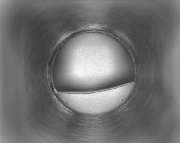 X0000067871404200604131003