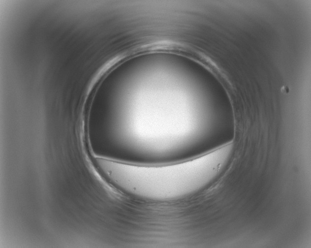 X0000067871418200604131003