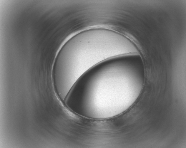 X0000067871428200604131003