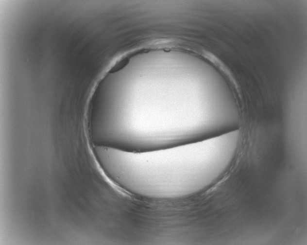 X0000067871429200604131003
