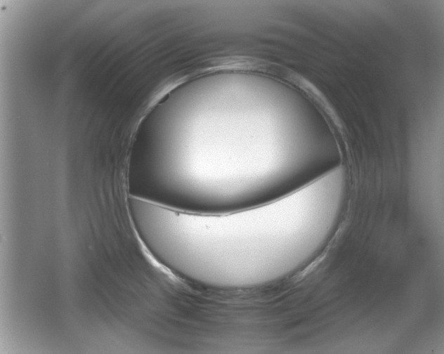 X0000067871433200604131003