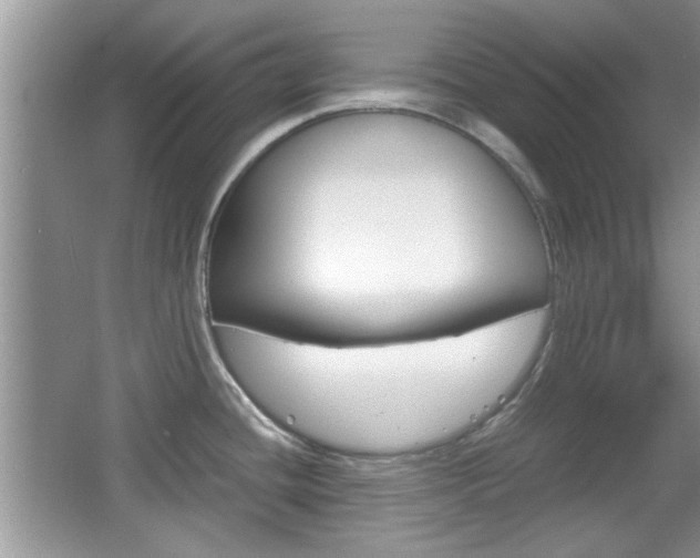 X0000067871436200604131003