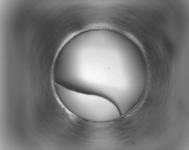 X0000067871440200604131003