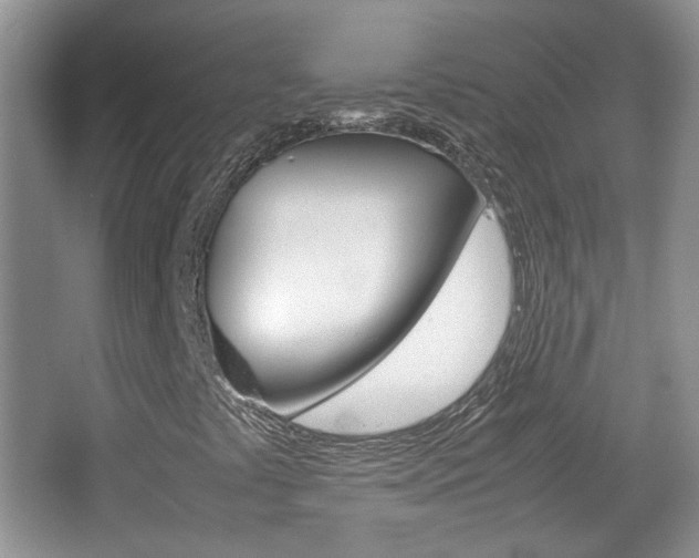 X0000067871441200604131002