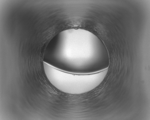 X0000067871442200604131002