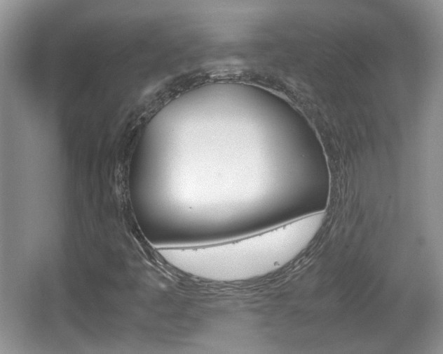 X0000067871445200604131002
