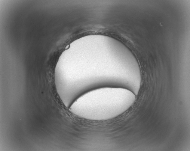X0000067871447200604131002