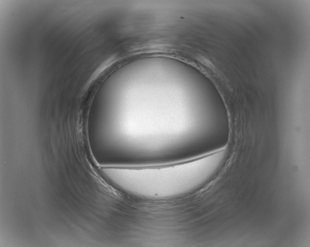 X0000067871450200604131002