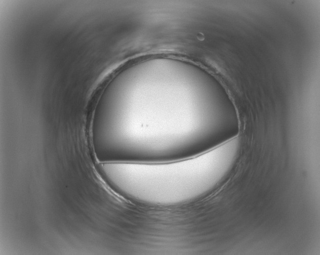 X0000067871452200604131002