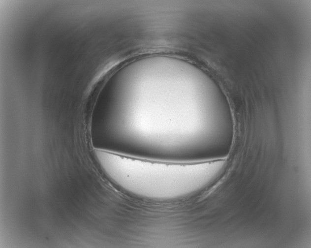 X0000067871453200604131002