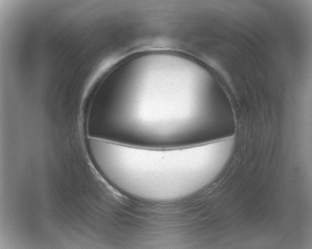X0000067871464200604131002