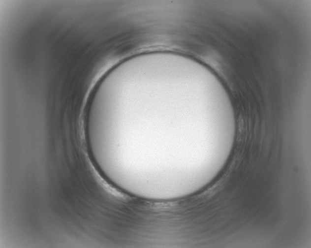X0000067871466200604131002
