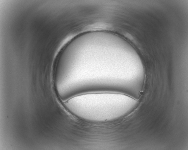 X0000067871469200604131002