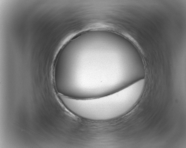X0000067871477200604131002