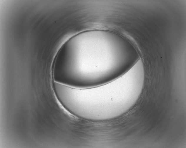 X0000067871479200604131002