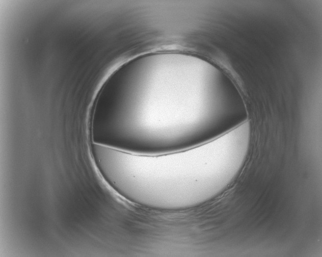 X0000067871483200604131002