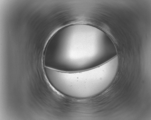 X0000067871484200604131002