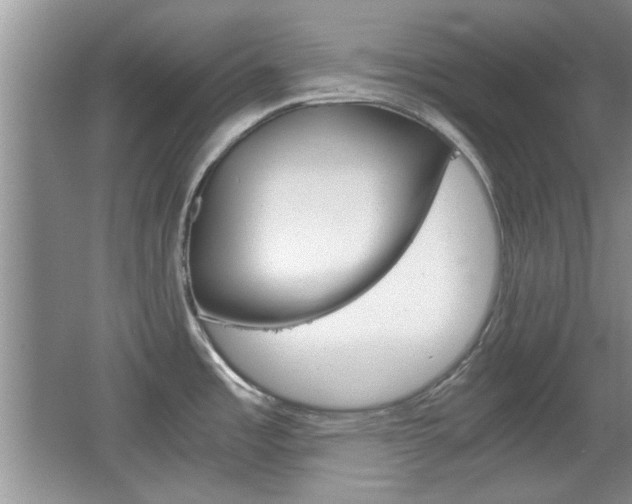 X0000067871485200604131002