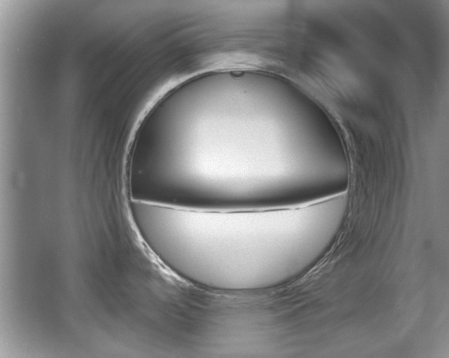 X0000067871488200604131002