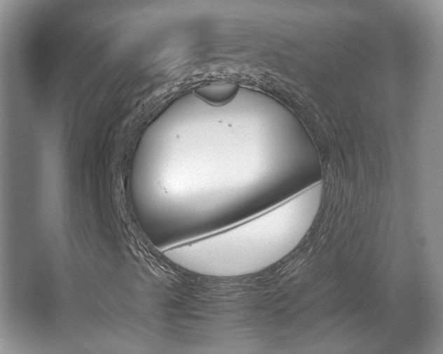 X0000067871489200604131001