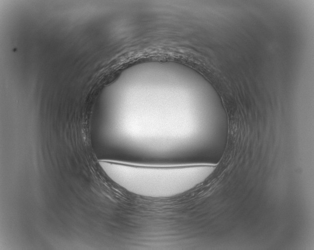 X0000067871490200604131001