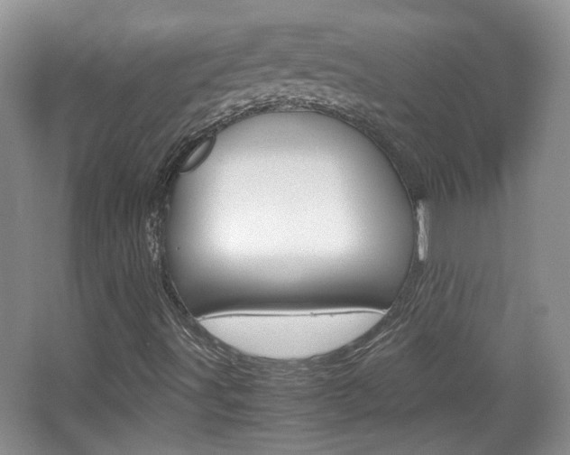 X0000067871491200604131001