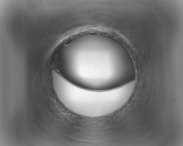 X0000067871496200604131001