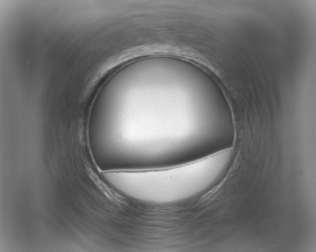X0000067871499200604131001
