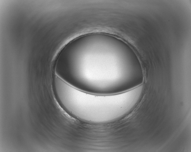 X0000067871500200604131001