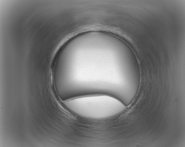 X0000067871509200604131001
