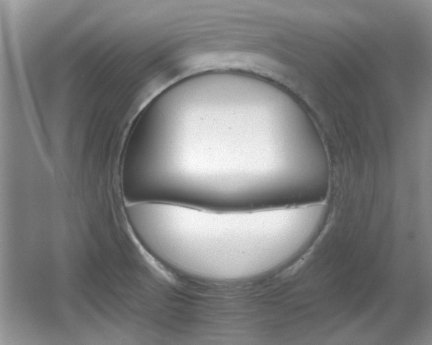 X0000067871521200604131001