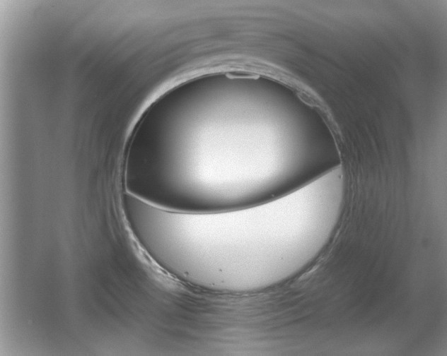 X0000067871530200604131001