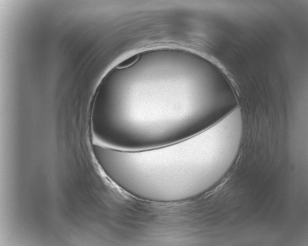X0000067871534200604131001