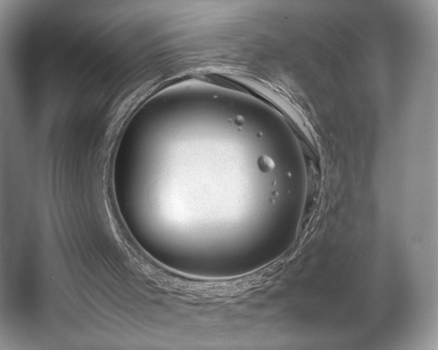 X0000067870001200604131248