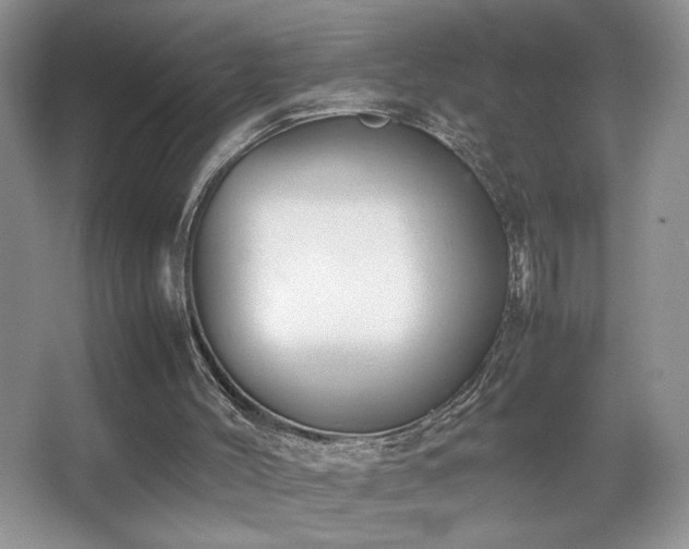 X0000067870004200604131248