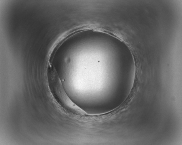 X0000067870007200604131248