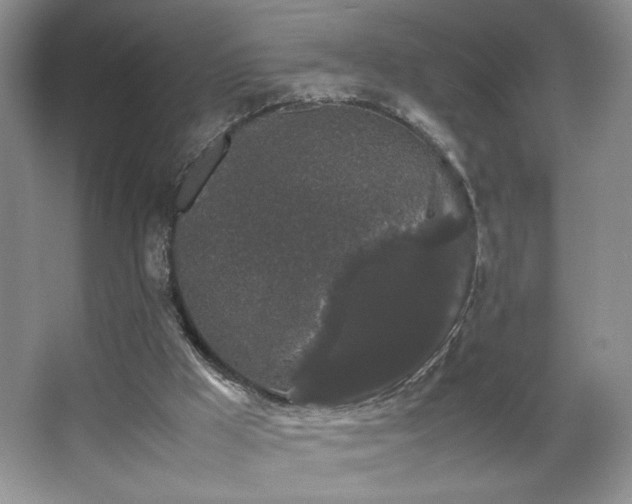 X0000067870009200604131248