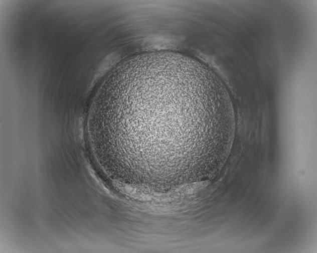 X0000067870010200604131248