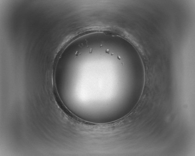 X0000067870011200604131248