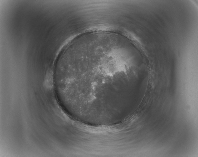 X0000067870012200604131248